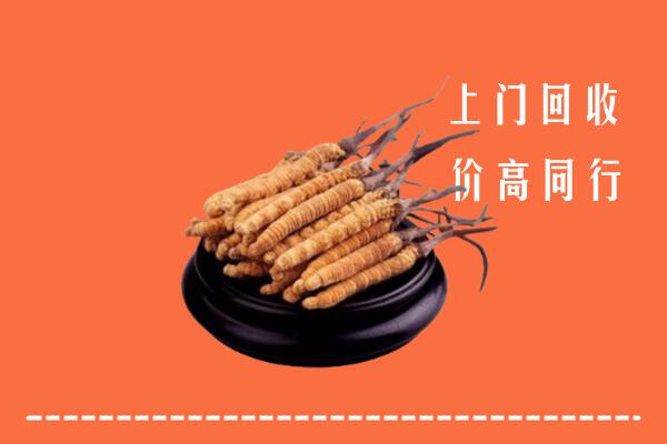 高价求购：金城江区回收散虫草